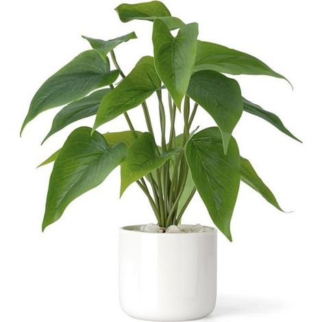 Plantes artificielles en Pot en céramique de 28 cm pour décoration intérieur et intérieur avec Pot Blanc FLEUR-PLANTE ARTIFICIELLE (1/5)