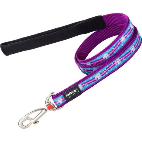 Laisse pour Chien Red Dingo Violet (1,5 x 120 cm)