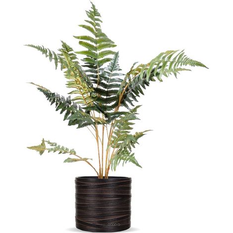 Fougère des forêts artificielle H 75 cm en pot superbe L 60 cm - dimhaut: H 75 cm - couleur: Vert (1/3)