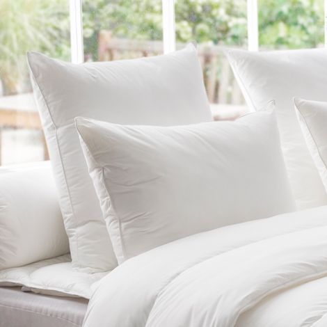 Oreiller Thermoduv 70% Duvet d'Oie MEDIUM - 40/60 - DODO (1/3)