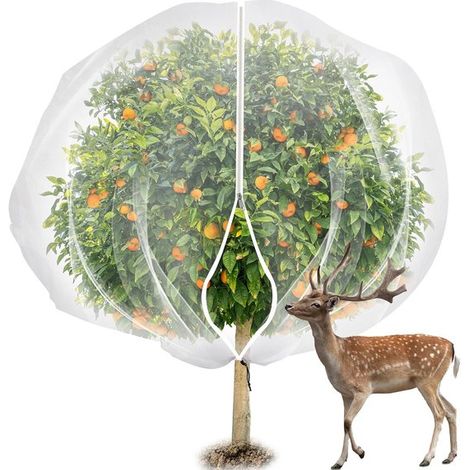 7,8 x 7,8 Fuß großes Obstbaumnetz mit Reißverschluss und Kordelzug Transparentes Insektennetz für den Garten Vogelschutznetz Obstschutznetz Schut (1/5)