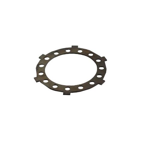 L谩mina embrague anillo AGRIA AGW62454