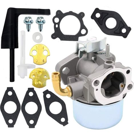 Carburateur de Remplacement pour Moteur Briggs & Stratton INTEK 190cc 205cc 206cc, Compatible avec les Numéros de Pièce 696981 698860 798650 798653 (1/5)