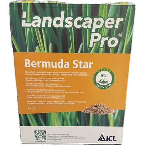 Seme Prato Bermuda Star 250 gr ICL (1/2)