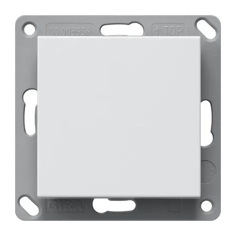 Gira BT Emisor mural 1f System 55 Blanco puro [246103], 2461 03
