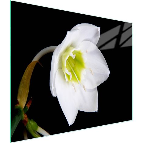 Glasschneidebrett 52x30 Orchidee (1/5)