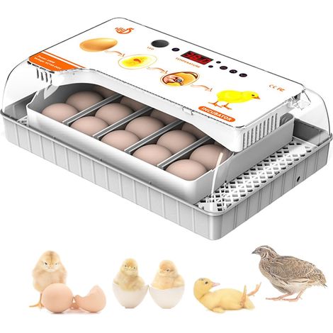 20-teiliger Brutkasten, Temperaturanzeige, automatische Temperaturregelung und Eierwende, zum Ausbrüten von Hühnern (1/4)