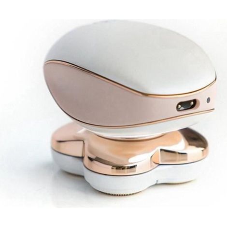 360° rotatif rasoir quatre têtes électrique épilation instrument pour femme (1/4)