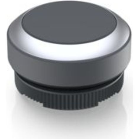 RAFI 1.30.270.021/0700 RAFIX 22 FS Drucktaster    tastend  (L x B x H) 29.8 x 29.8 x 18.5 mm  1 St.
