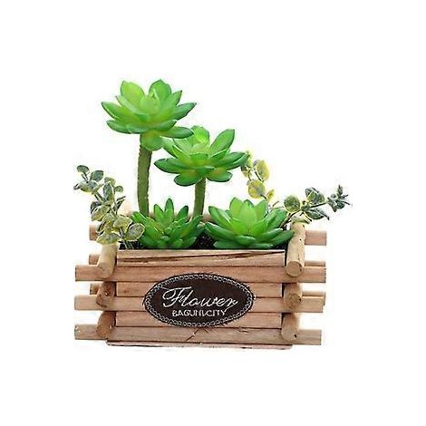Kombination aus simulierter Sukkulente, Bonsaiblume und Holztöpfen