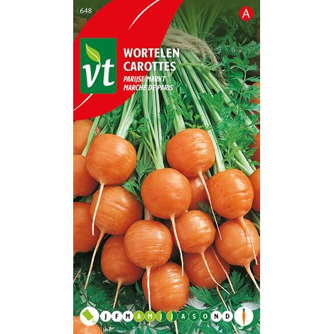 Carottes Marche De Paris - Ca. 4 gr (Livraison Gratuite) (1/2)