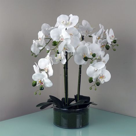 50cm Artificial Orchid with Glass Planter - White (1/5)
