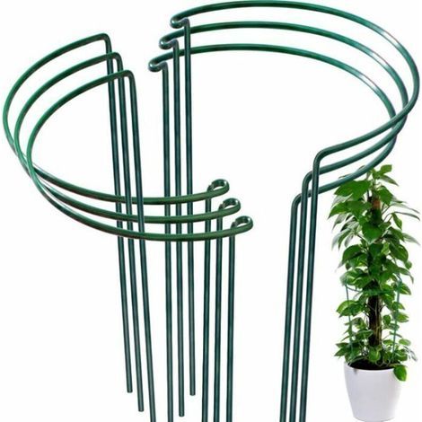 set of 4 climbing plant supports with 2 loops each, measuring 25x40cm – rust-resistant metal supports. (1/5)