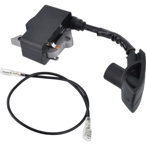 Module de Bobine d\'allumage pour Stihl BR500 BR550 BR600 Souffleur de Feuilles (1/5)