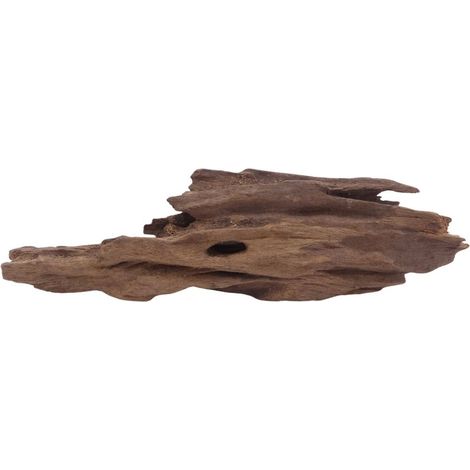 M Honey Comb Wurzel Nr.3763 Holz Deko Aquascaping