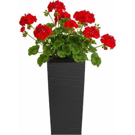 Porto Riflo Blumentopf, schwarz, H 36 x 19 x 19 cm