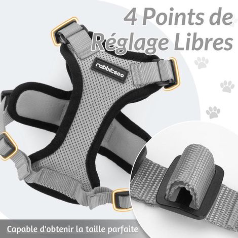 Harnais pour chat Rabbitgoo, taille S, gris, réglable et réfléchissant, gilet respirant avec laisse (1/5)