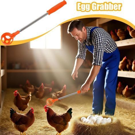 Attrape-œufs de Poule,Ramasse-Oeufs Et Noix Télescopique Outil de Ramassage Robuste, Collecteur en Acier Inoxydable pour Poulailler Jardin Verger Ferme (1/4)