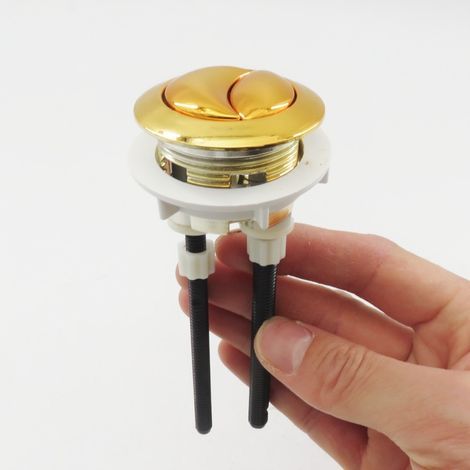 Zubehör für 38-mm-Gold-WC-Taster: WC-Sitz, Spülkasten, Zweimengenspülung, runder/ovaler Druckknopf (1/5)