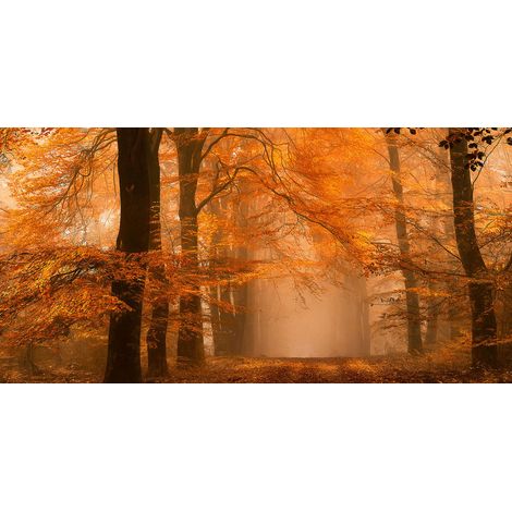 Papier peint panoramique paysage forestier | Tapisserie panoramique originale pour chambre | Papiers peints panoramique nature pour bureau - 250 x 500 cm (5 pièces) (1/2)