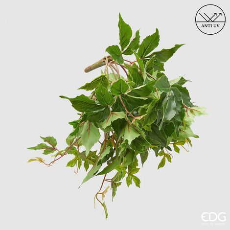 EDG Enzo De Gasperi Cissus Bell Cadente Anti-UV H 50 Cm Pianta Artificiale Verde