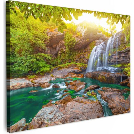 CUADRO EN LIENZO Naturaleza - Cascada - Plantas - Árboles - Sol Lienzo Modernos 80x60 cm
