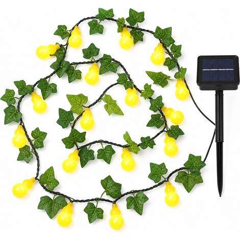 Guirlande Lumineuse LED en Forme de Calebasse, 20 Lumières Clignotantes à Piles, Fil Transparent pour Jardin et Balcon (1/5)