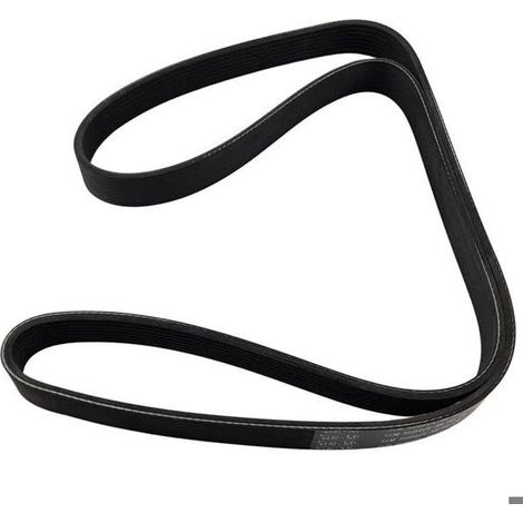 Correas estriadas Scania Renault DAF 8PK1525, 1388161 (1/5)