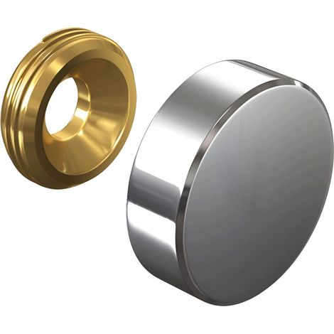 Cache vis Inox 18 mm (à l'unité) (1/4)