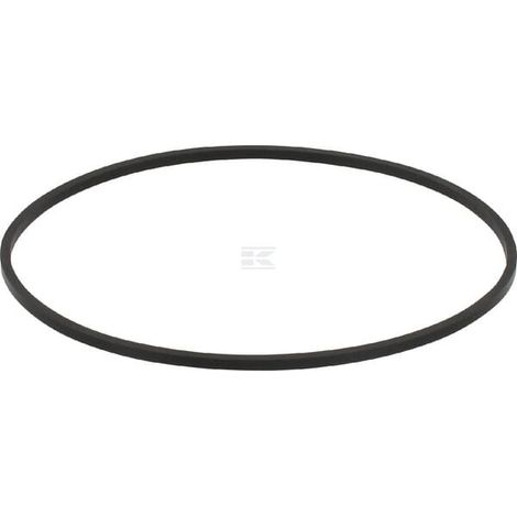 Anello di tenuta albero HATZ 50290200