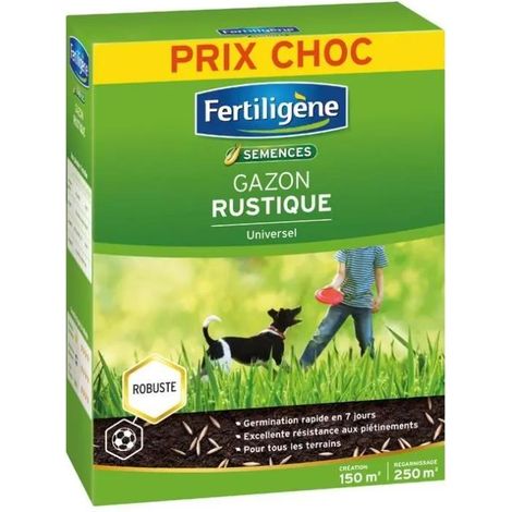 FERTILIGENE Prato Rustico Universale 3,75 kg verde