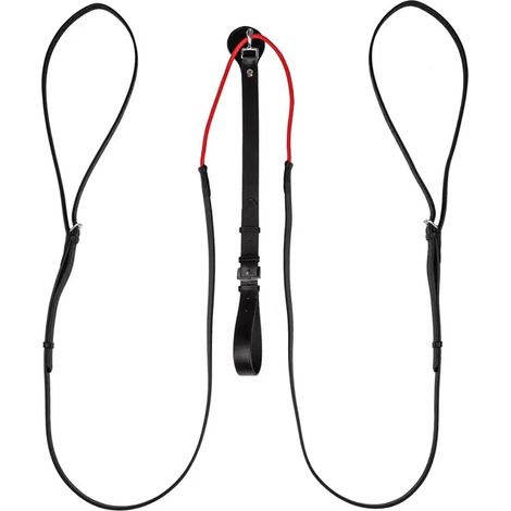 Rênes Waldhausen w-trainrein cuir flexible système poulie (1/2)