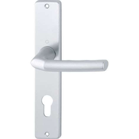 Combinazione di maniglie a lunga distanza Birm.1117/202SP alluminio F1 PZ 72mm DIN L/D (1/4)