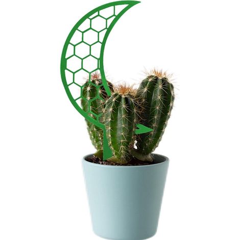 Petits treillis pour plantes en pot, accessoires de jardinage - Fournitures de jardinage d'intérieur et d'extérieur, treillis d'intérieur, support pour arbres grimpants (1/5)