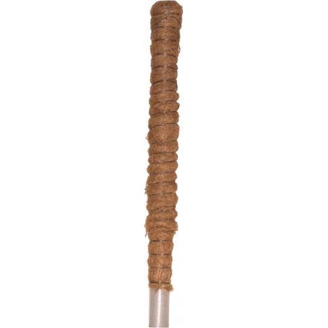Tuteur en noix de coco, support écologique pour plantes, 50 cm (1/3)