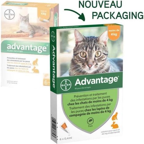 ADVANTAGE 40 - 6 pipetas antiparasitarias - Para gatos y conejos de menos de 4kg