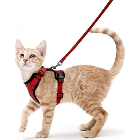 Piece (S-Red) Small Dog and Cat Harness Leash Adjustable Red Kitten Reflective Collar Breathable Vest Rabbit YMYNY (1/3)