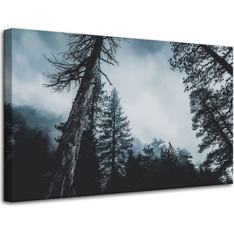 Leinwanddruck Natur Baumkronen 80x50 cm