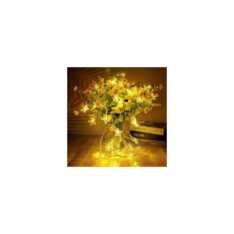 Guirlande Lumineuse à Piles, 6M 40 LED Fairy Lights, 2 Modes Monochrome et Brillant Guirlande Lumineuse Intérieur, Décoration de Noël Mariage Anniversaire Fête Jardin ChambreBlanc Chaud