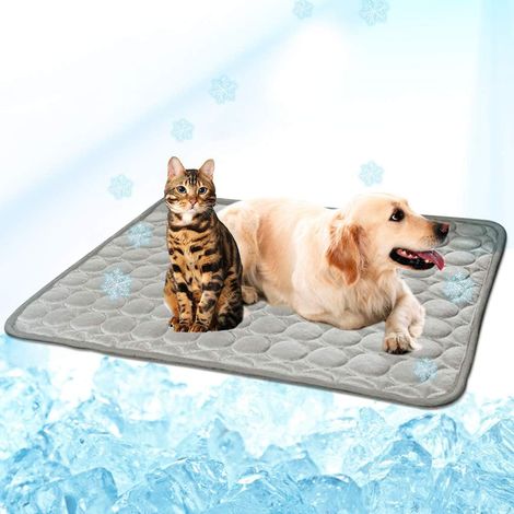 Tapis rafraîchissant pour chiens et chats, couverture auto-rafraîchissante en soie glacée pour animaux de compagnie, idéale pour les paniers, niches, canapés, sièges auto et sols. (1/5)