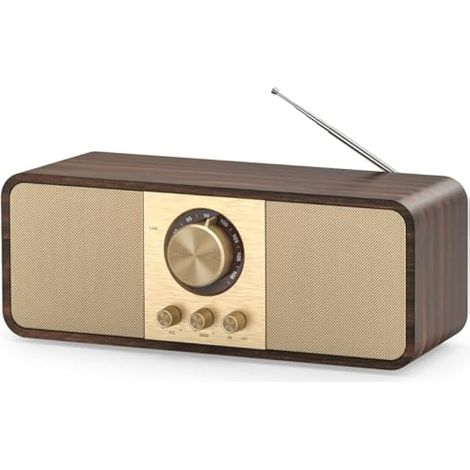 Radio Vintage, Radios Rétro avec Bluetooth et Carte TF, Alimentation par Batterie 3000mAH, avec 2 Woofers de 8 Watts, Radios Rétro avec AUX/USB, Radio Cuisine/Chambre/Bureau (1/5)