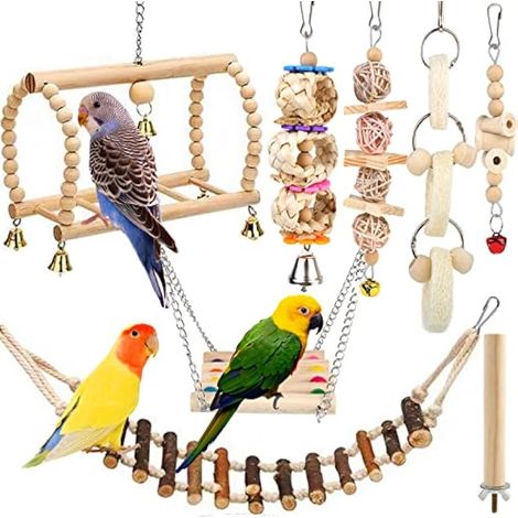 8 Pcs Ensemble Jouets Oiseaux, Perroquet Jouet, Oiseaux Accessoires Oiseau Jouet Oiseaux Perroquet, Jouet pour Perruches d'oiseaux Jouet Perruche Perroquet Oiseau Accessoire Perruches Cage (1/5)
