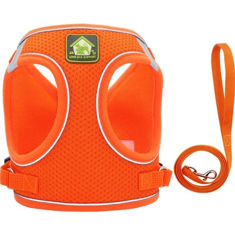 Dog Harness and Leash Set, No Pull Soft Mesh Pet Harness for Walking Escape Proof Small Cat Step-in Adjustable Vest with Reflective Strip Fit Puppy Kitten Rabbit (1/3)