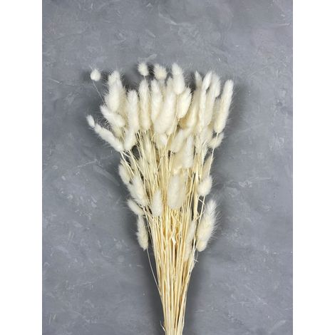 Bouquet Séché Lagurus Ovatus Et Setaria Viridis Pour Vase, Style Bohème Pour Décoration Maison (1/3)