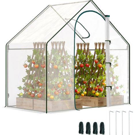 Serre de jardin BATHURST transparente