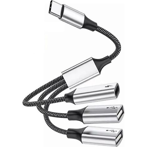 Hub USB-C ultra-rapide de 25 cm avec ports USB-C et USB 2.0 et alimentation 60 W - 1 port USB-C, 2 ports USB-C (1/4)