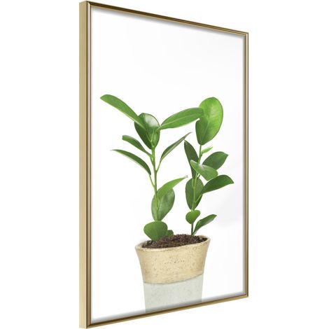 Affiche Murale Encadrée "Piece of Nature II" 30 x 42 cm Or