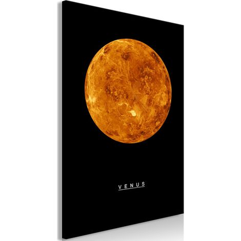 Tableau Imprimé "Venus" 60 x 90 cm (1/2)