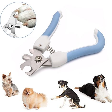 Toilettage sans effort : Coupe-ongles faciles à utiliser pour chiens et chats