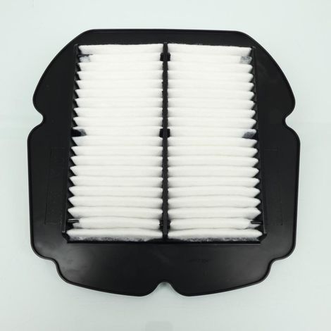 champion luftfilter für zweiräder suzuki 650 sfv gladius 2009 bis (1/4)